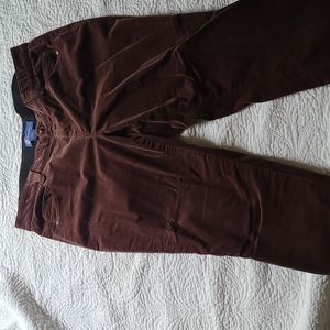 Democracy brown cords 18